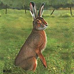 Tarcza ZAJĄC 2D - papier wzmacniany JVD