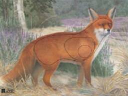 -30% Tarcza LIS 2D - papier wzmacniany JVD BF24