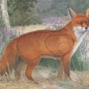 -30% Tarcza LIS 2D - papier wzmacniany JVD BF24