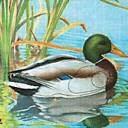 Tarcza KACZKA 2D - papier wzmacniany JVD