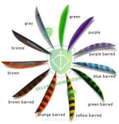 Lotka kolor Parabolic Trueflight 5.3/4" Maxi Fletch pióra