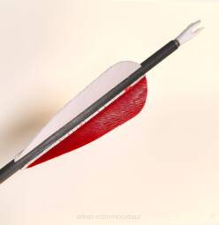 Strzała Skylon Carbon NOVICE Feather - pióra 3" - cienka carbon - spine  800, 900, 1000, 1100, 1300 - 12szt