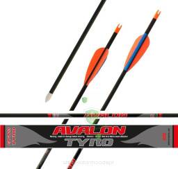 Strzały AVALON - CARBON Tyro - 6szt