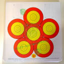 Tarcza Danage 6-polowa 18m Kwiatek hala 6x20cm 10-9-8pkt 