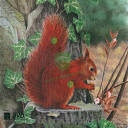 Tarcza WIEWIÓRKA 2D - papier wzmacniany JVD