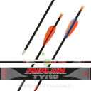 Strzały AVALON - carbon TYRO 12szt