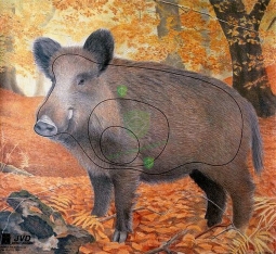 -20% Tarcza DZIK 2D - papier wzmacniany JVD BF24