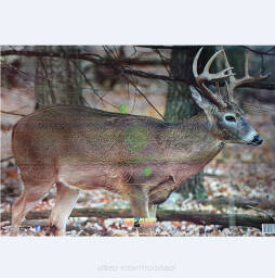 Tarcza JELEŃ 2D - Foto Folia wodoodporna DEER