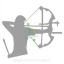 Naklejka na Auto - łucznicza sylwetka naklejka - łuczniczka bloczkowa (srebrna)